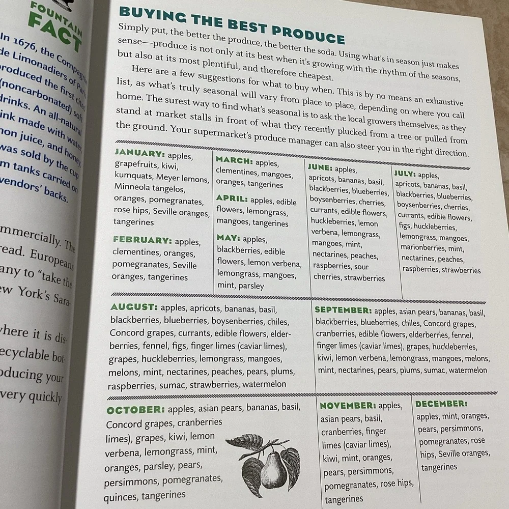 Make Your Own Soda Recipe Book by Anton Nocito